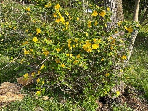 鴨川市平塚　ログハウスのその他