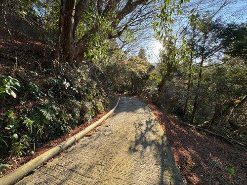 鴨川市平塚　ログハウスのその他