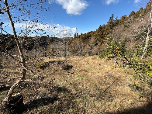 鴨川市平塚　ログハウスのその他