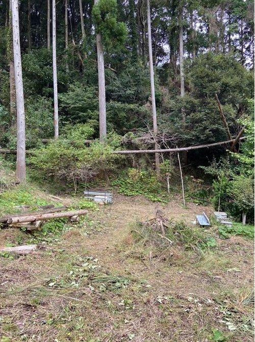 いすみ市岬町中滝　売地のその他|現地土地写真