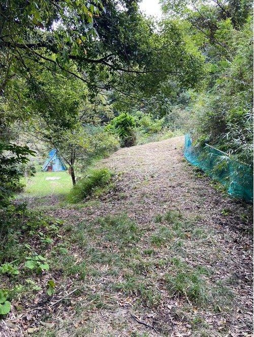 いすみ市岬町中滝　売地のその他|その他現地