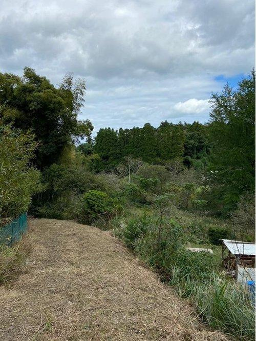 いすみ市岬町中滝　売地のその他|その他現地