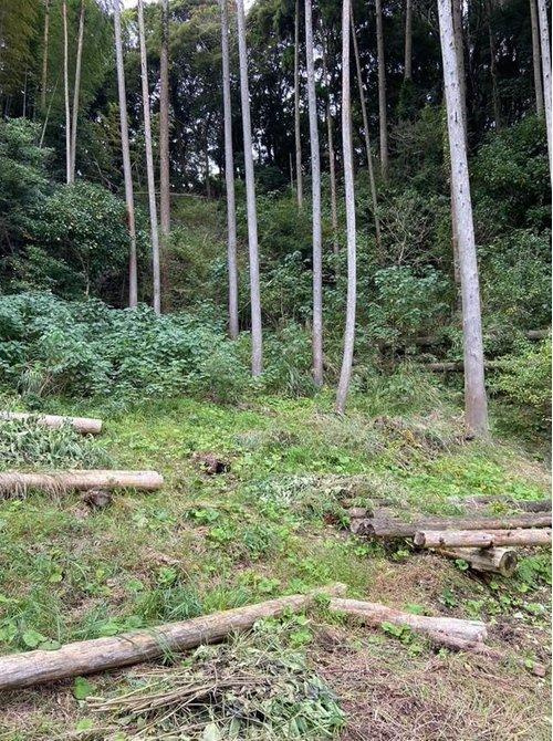 いすみ市岬町中滝　売地のその他|キャンプやレジャーにもおすすめ