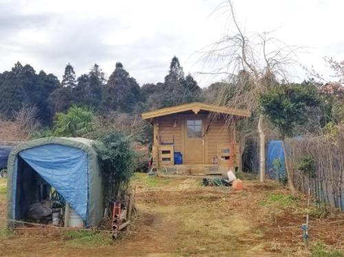 プロムナードヒル大網16-14　売地のその他|約６帖のミニログハウス付き