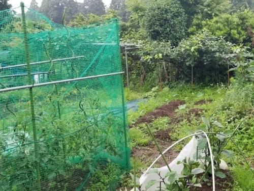 プロムナードヒル大網16-14　売地のその他|その他現地