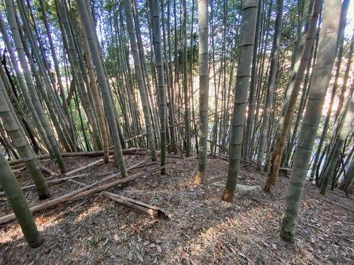 山武郡横芝光町小田部　売地