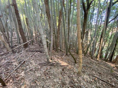 山武郡横芝光町小田部　売地の外観