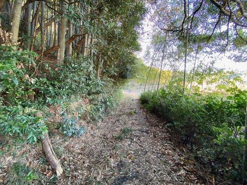 山武郡横芝光町小田部　売地の外観
