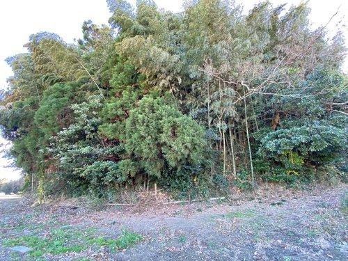 山武郡横芝光町小田部　売地の前面道路含む現地写真