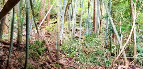 君津市笹　中古戸建のその他