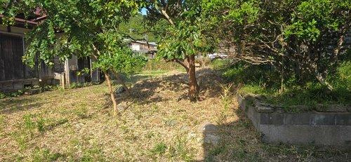 君津市黄和田畑　中古戸建の庭|菜園を楽しみながらのんびり過ごしたい方に