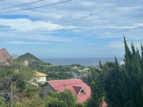 鴨川市宮　中古戸建の展望|現地からの眺望（海一望）