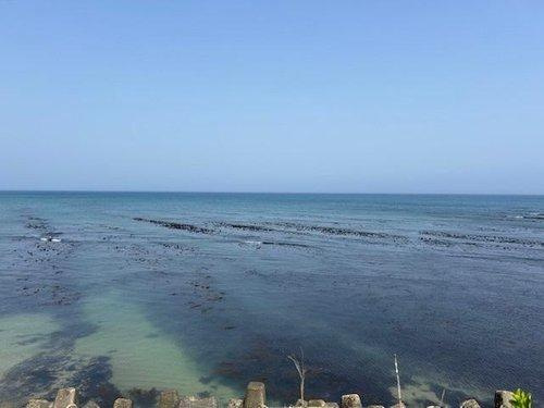 いすみ市大原　中古戸建の展望|目の前海物件