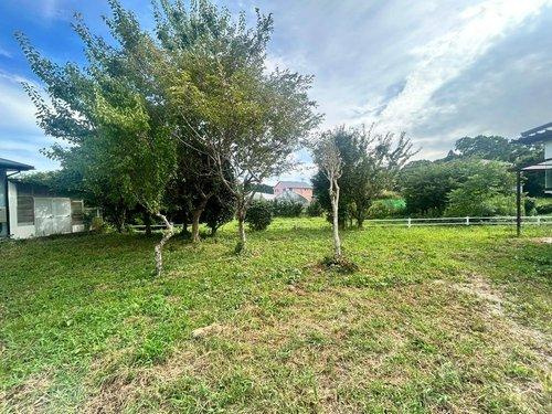 いすみ市岬町三門　中古戸建の庭