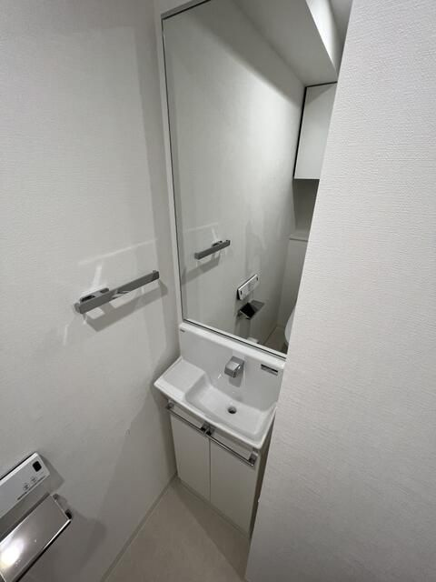 ガリシア錦糸町Ⅳの独立洗面台