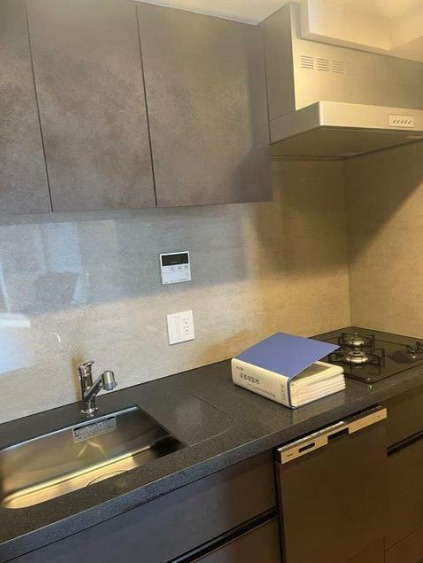 ブランシエスタ目黒中央町　新築　ペット相談　フィットネスルーム　ワークラウンジのキッチン