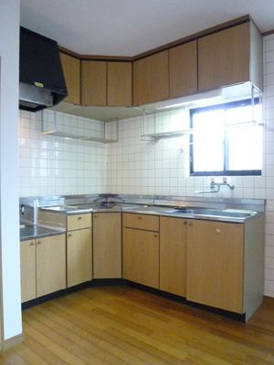 【キッチン】 | 仲介手数料０円！HPに初期費用掲載！「プライスホーム」で検索！ピナクルDOSEN