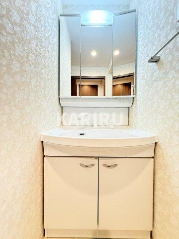 Luxe玉造南の洗面所