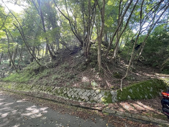 【外観】 | 東急天城高原別荘地　売地