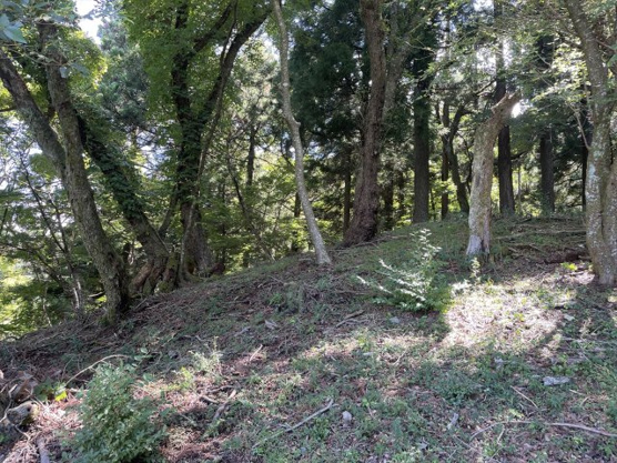  | 東急天城高原別荘地　売地