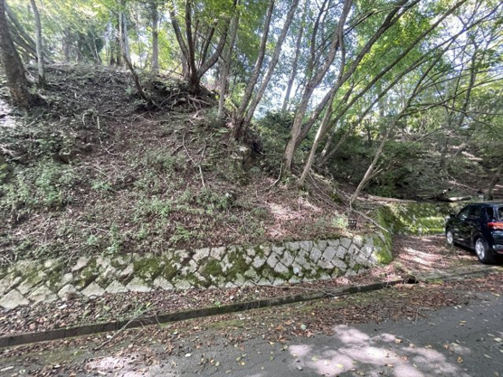  | 東急天城高原別荘地　売地