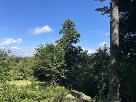 【展望】 | 東急天城高原別荘地　売地