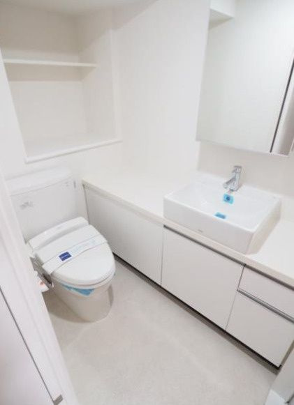 レジディア文京本駒込の洗面所