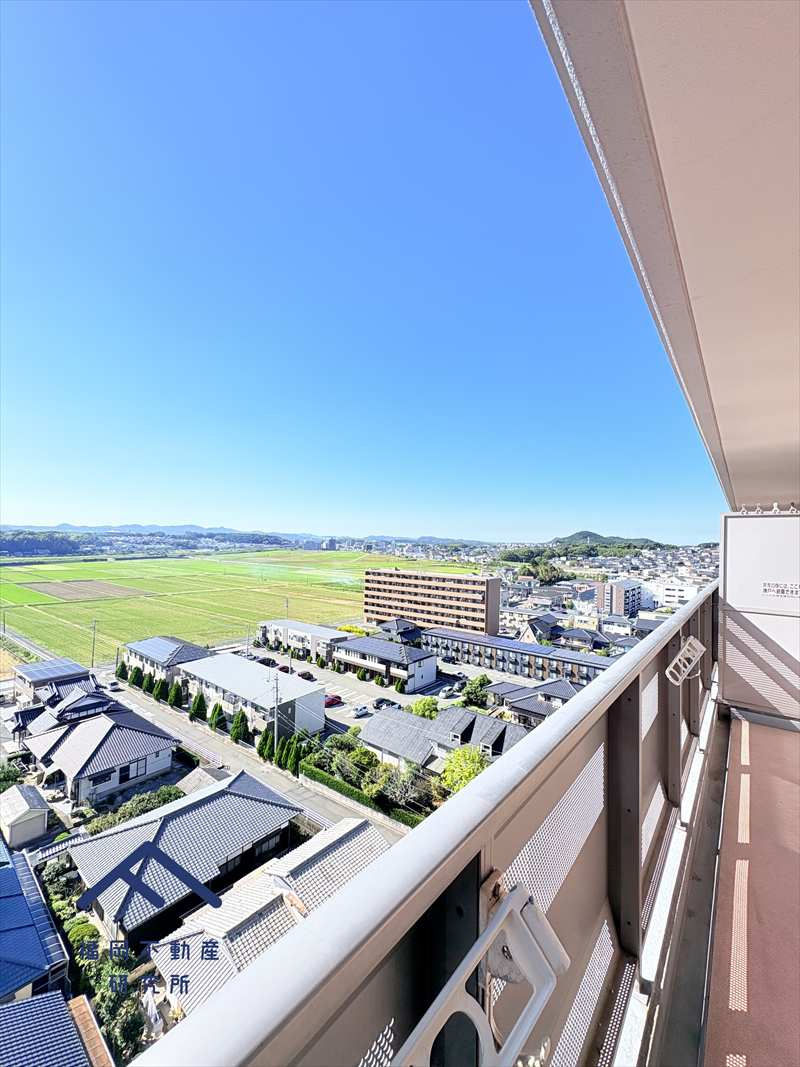 アンピール教育大前の展望