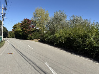 【前面道路含む現地写真】