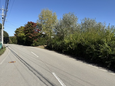 【前面道路含む現地写真】 | 佐久高原美笹別荘地Ｇ－３