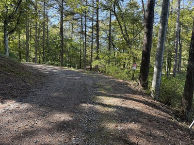 【前面道路含む現地写真】 | 佐久高原美笹別荘地Ｂ－８