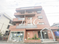 コーラルスターガーデンの画像