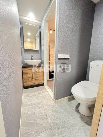 アリエ大阪城北の洗面所