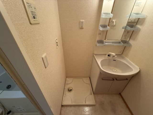 フランドールのその他