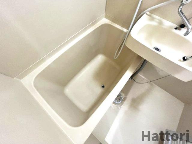 Gran Pino 春日(プランツ緑地)の浴室