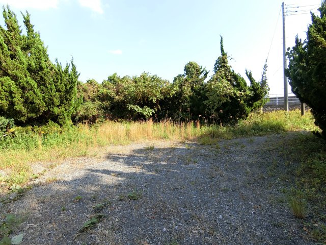 横芝光町屋形戸建の庭