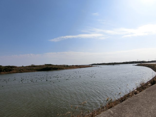 横芝光町屋形戸建の周辺