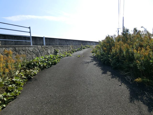 横芝光町屋形戸建の前面道路含む現地写真