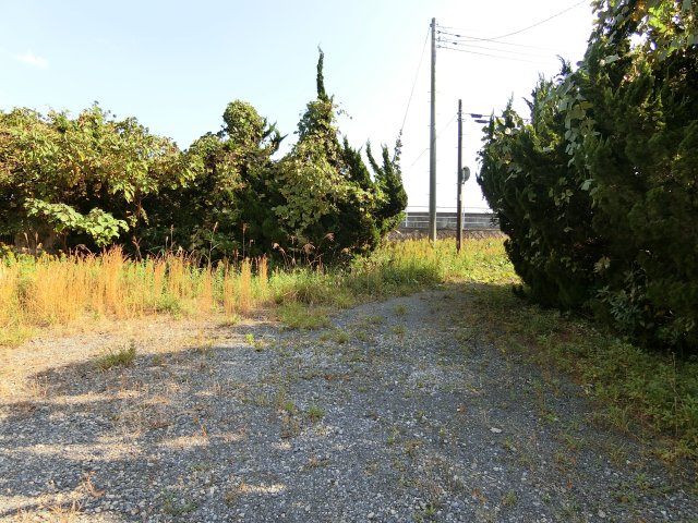 横芝光町屋形戸建の庭