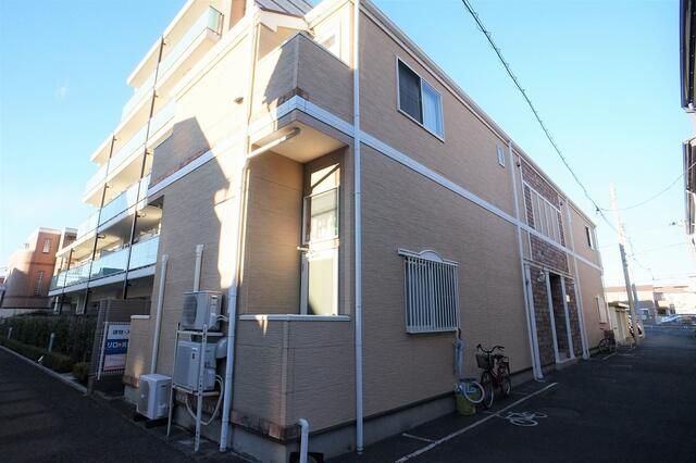 アンジェロの画像