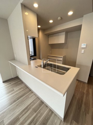 【キッチン】 | プレサンスレジェンド堺筋本町タワー | プレサンスレジェンド堺筋本町タワー　カウンターキッチン