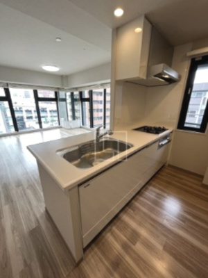 【キッチン】 | プレサンスレジェンド堺筋本町タワー | プレサンスレジェンド堺筋本町タワー　キッチン