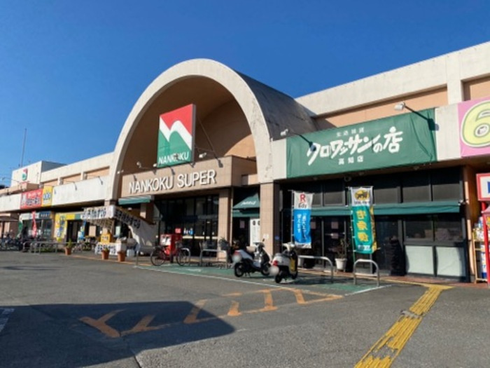 アムール D棟の周辺|ナンコクスーパー高須店（480m）