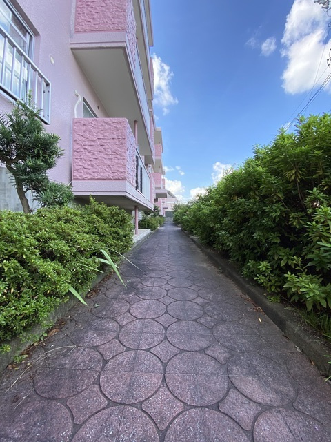 エストゥペンダのその他