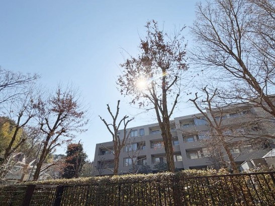 パークシティ成城Ｆ棟|緑豊かな環境です。