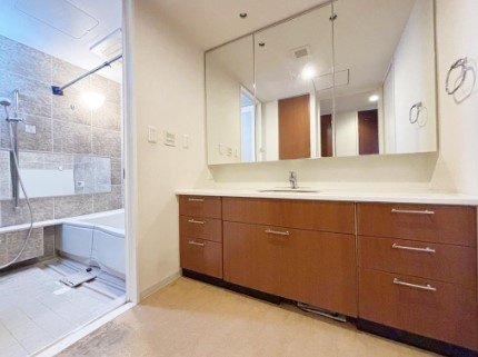 パークシティ成城Ｆ棟の独立洗面台|三面鏡付き洗面台。物が増える場所だからこそ、スッキリとした見栄えの良いデザインとなっております。