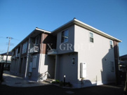 サン・プリムローズの画像