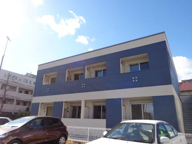 Ｂｏａ　ｓｏｒｔｅ（ぼあ　そるて） 　