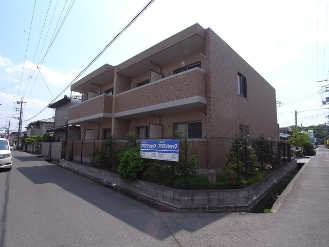 椿