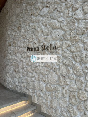 【その他】 | Prima Stella